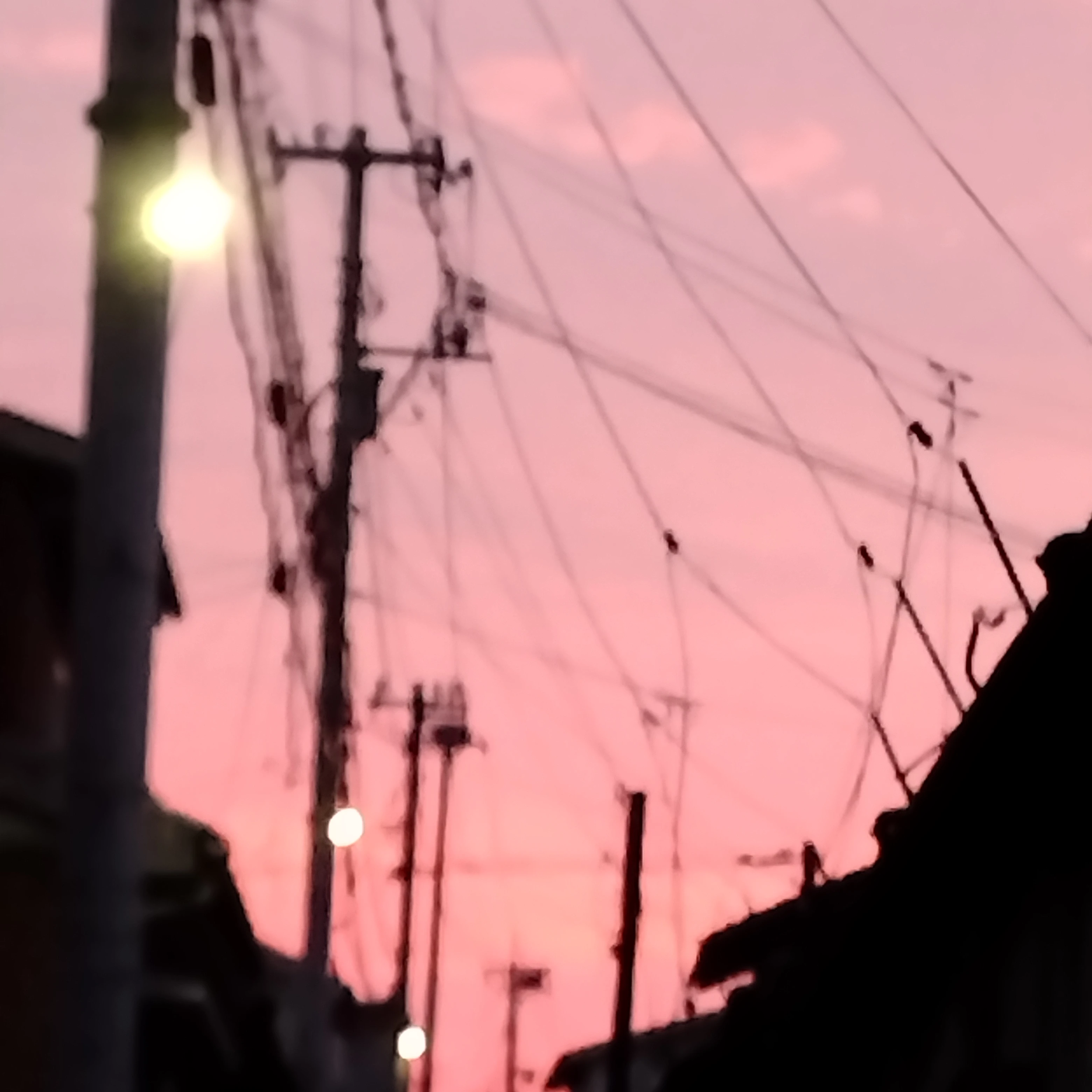 やまと