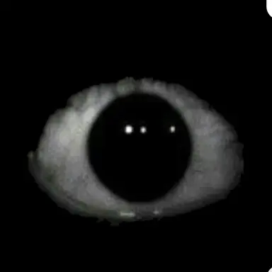 Profile image of 眼