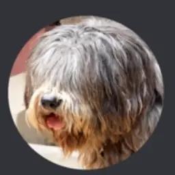 Profile image of 미스터리