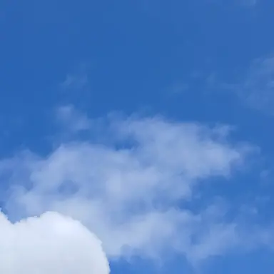 Profile image of 이서