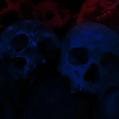 Profile image of 하우카우