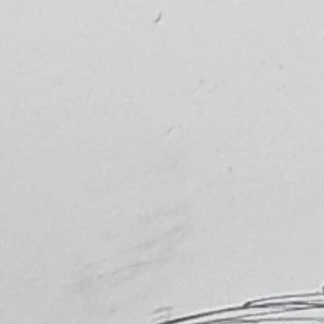 (얼빠밖에없는)집사카페