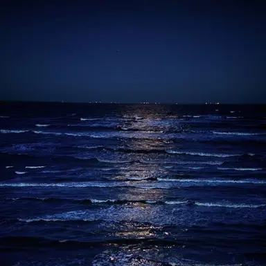 Profile image of 파이브