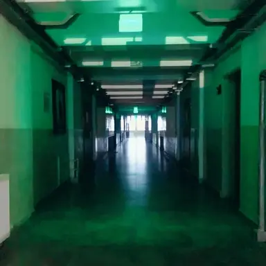 Profile image of The School.