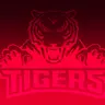 Profile image of Champions