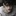 이현우