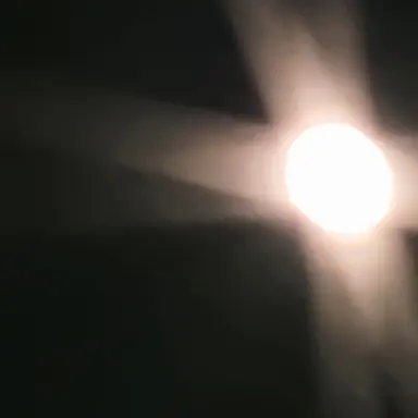 Profile image of 멜로우