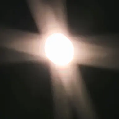 Profile image of 푸딩