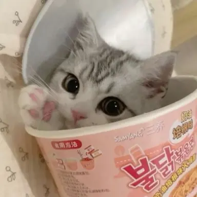 Profile image of Ramen