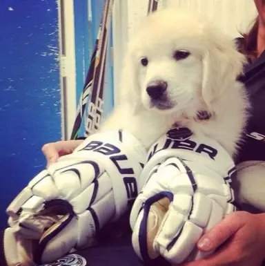 Profile image of Mila