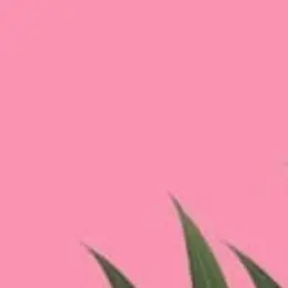 Profile image of 주르르