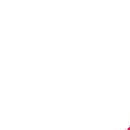 yuiyui1103의 妊娠