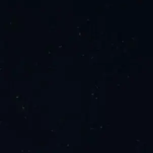 Profile image of 좀비