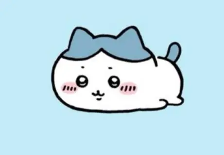 Profile image of ハチワレ