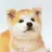 ハチ