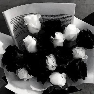 Profile image of 신여우