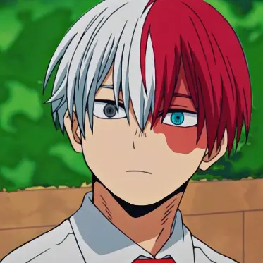 Profile image of Shoto Todoroki