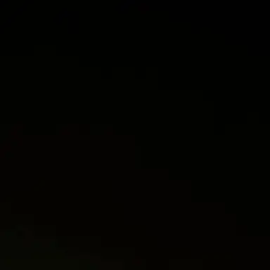 Profile image of 미스틱플라워