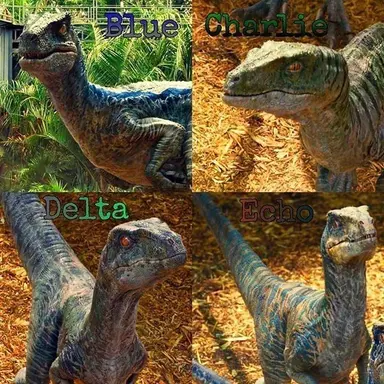 Profile image of Four raptor