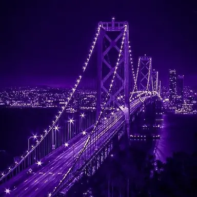 Profile image of 필립