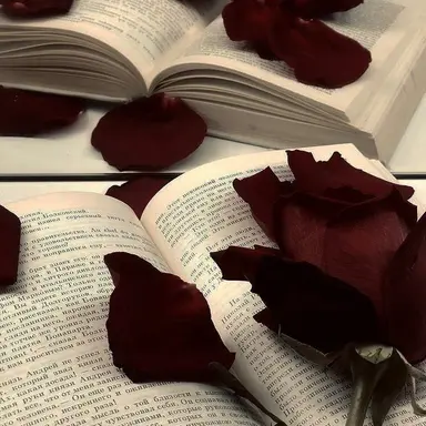 Profile image of 서라더