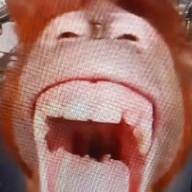 Profile image of 동생놈