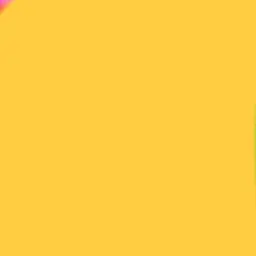 Profile image of 岩本 照