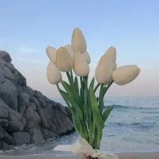 Profile image of 이민호