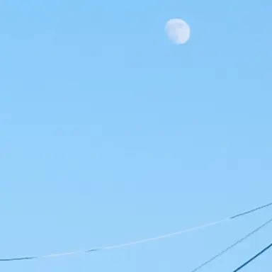 Profile image of 진행 요원