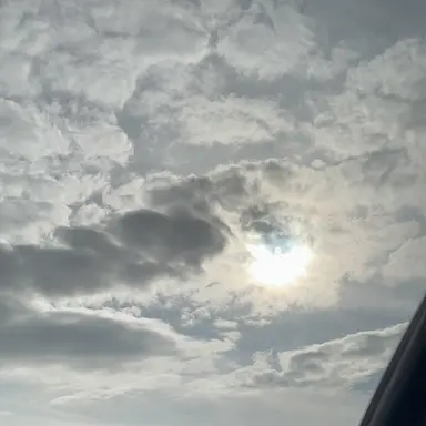 Profile image of 보넭도