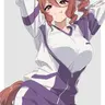 Profile image of ノルンエース