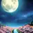 夢見る星月夜