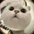 뇽냥이