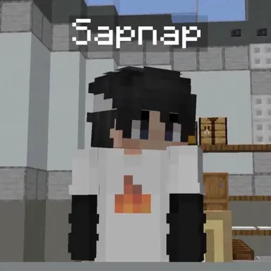 Profile image of Sapnap