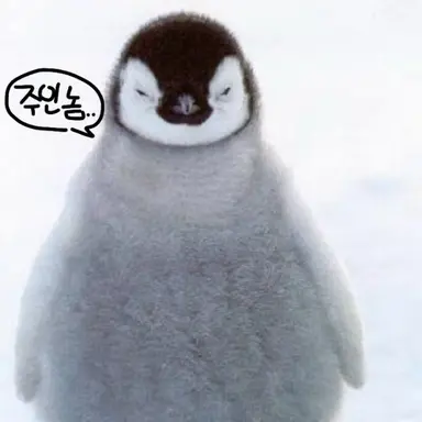 Profile image of 펭귄