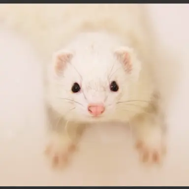 Profile image of ヒョンジン