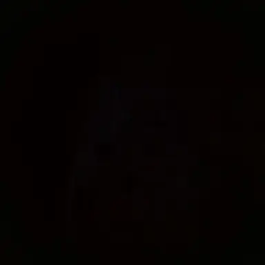 Profile image of 주인장
