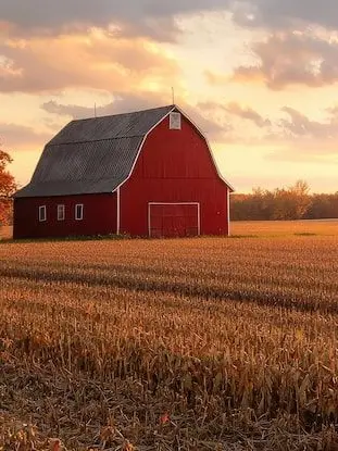 OHGODNOITSALLBEES의 Summerset Ranch