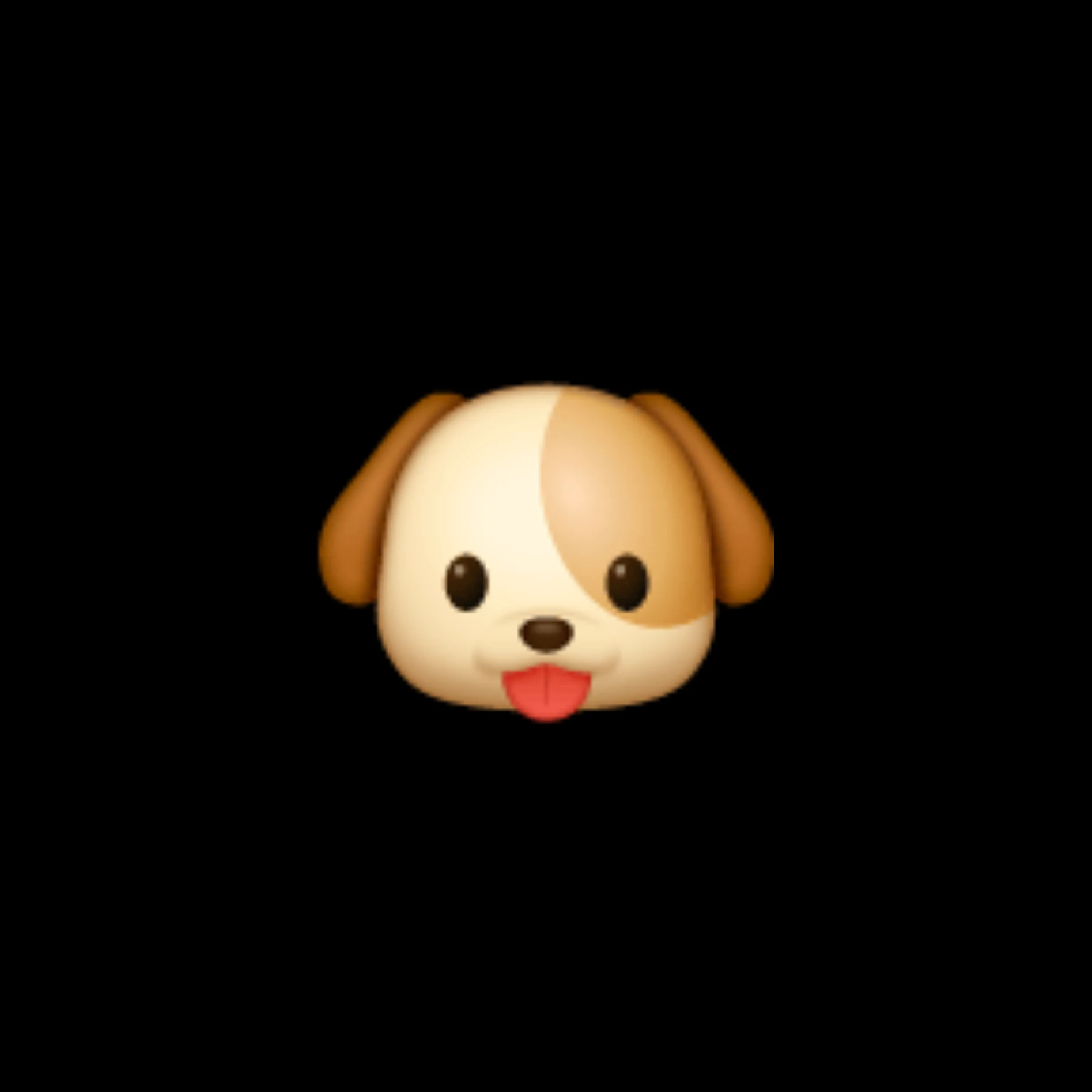 조우찬