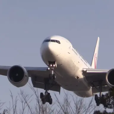 Profile image of 일본항공 B737