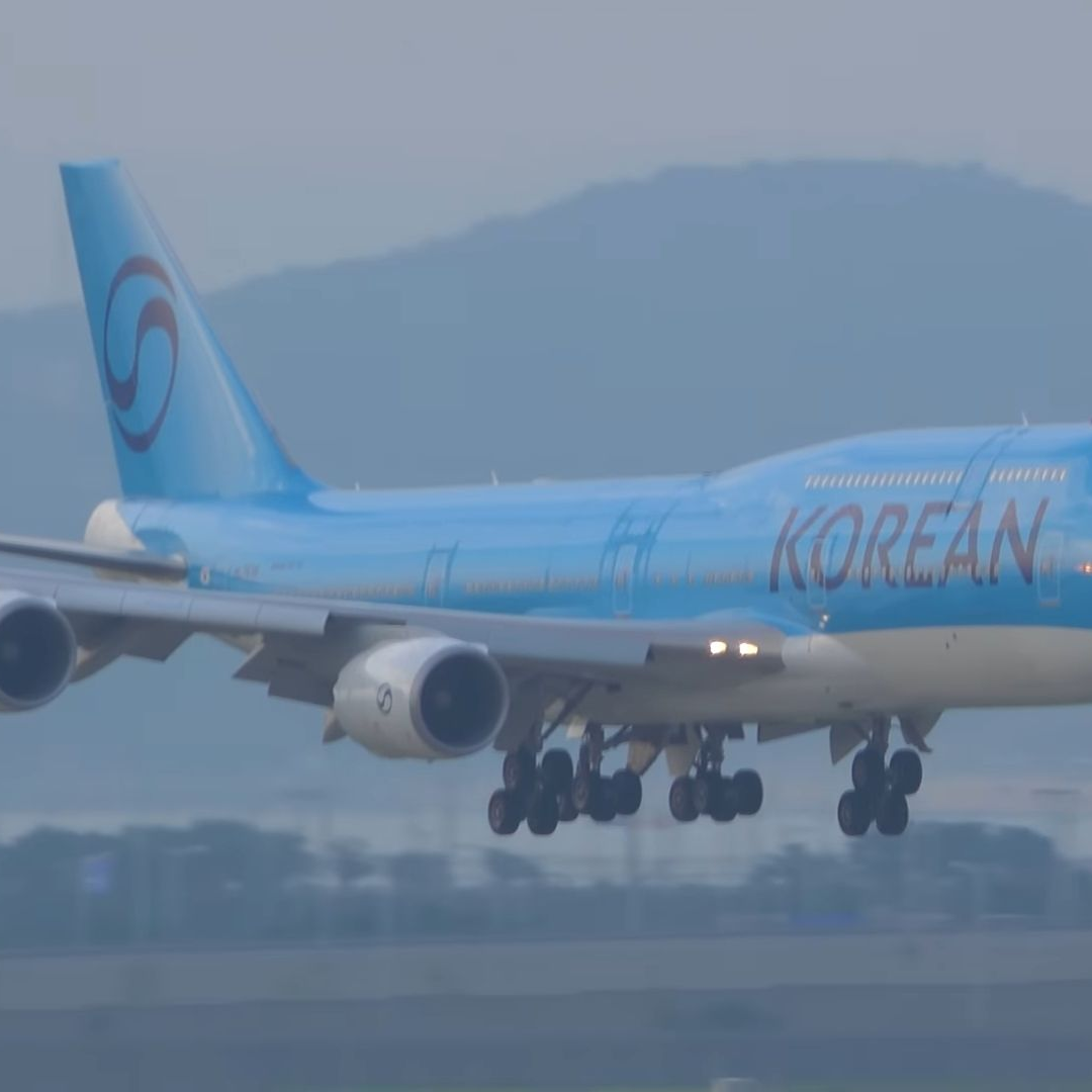 각 대표 항공사들이 가족이라고? 대표 이미지