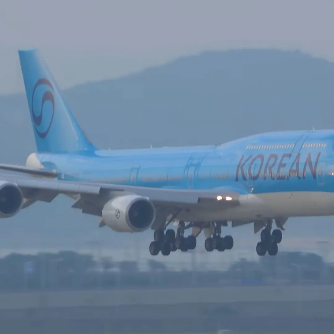 BriskLeaf9778의 각 대표 항공사들이 가족이라고?