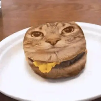 Profile image of Cat burger.