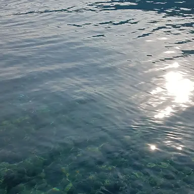 Profile image of 황수현