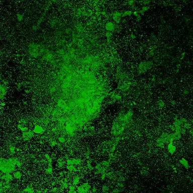 Profile image of ゾム