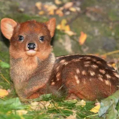 Profile image of LeeDonghyuck