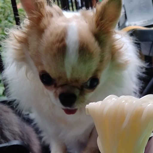 ㅋㅎㅂ