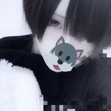 Profile image of すい
