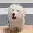최슭철