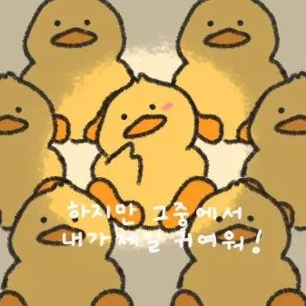 Profile image of 오동이